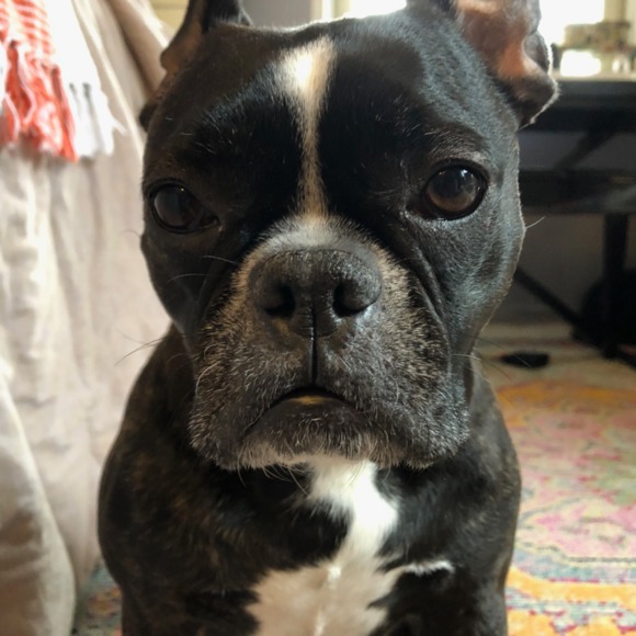 heidi_mol